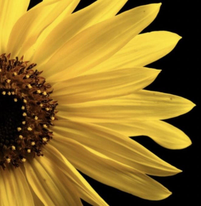 This is a default description.